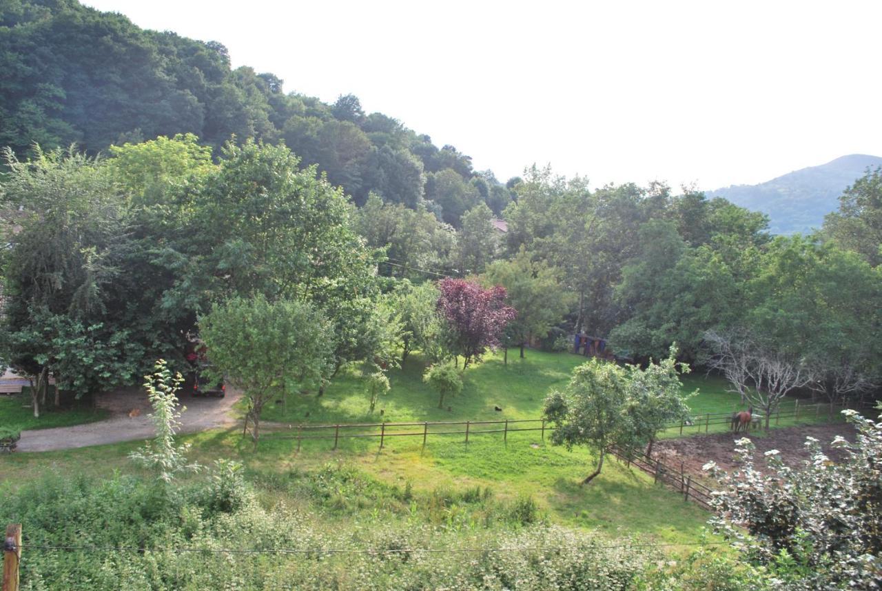 Appartamento Apartamento Rural Lago Ercina Onís Esterno foto