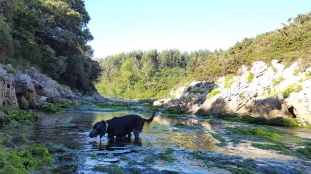 Appartamento Apartamento Rural Lago Ercina Onís Esterno foto